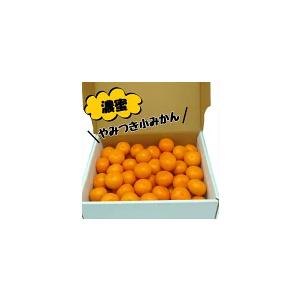 熊本産　みかん4kg 2s 送料無料 贈り物  お歳暮 ご贈答　お取り寄せ ご家庭用 みかん