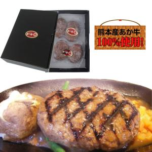 熊本県産 くまもとあか牛 ハンバーグ４個入 お試し用 送料無料 ご家庭用 和牛 赤牛 母の日 父の日 お中元 お歳暮 敬老の日 お取り寄せ 贈り物 ギフト｜sendoichiba