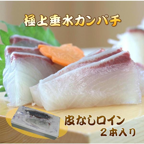 カンパチブロック  半身分　鹿児島垂水産【お刺身用】【産地直送】【送料無料】【8~10人前】かんぱち...