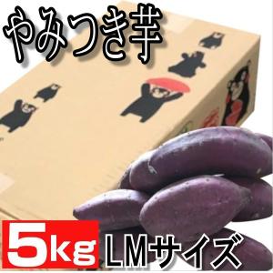 熊本産 紅はるか丸形 LまたはM サイズ 5k 蜜芋 送料無料 ご家庭用 お歳暮 熊本 大津 さつまいも