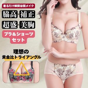 ブラジャー ショーツ セット 脇高 大きいサイ...の詳細画像1