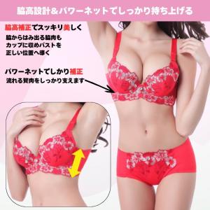ブラジャー ショーツ セット 脇高 大きいサイ...の詳細画像3