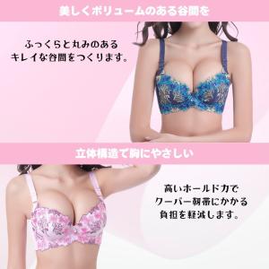 ブラジャー ショーツ セット 脇高 大きいサイ...の詳細画像5