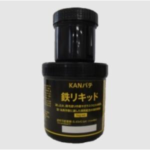 KANパテ 鉄リキッド 1.0kg 関西パテ化工