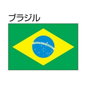 ブラジル国旗 業務 産業用材 の商品一覧 Diy 工具 通販 Yahoo ショッピング