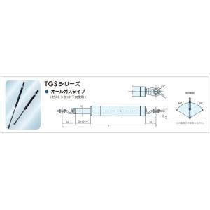 ガススプリング TGS 700-300-845...の詳細画像1