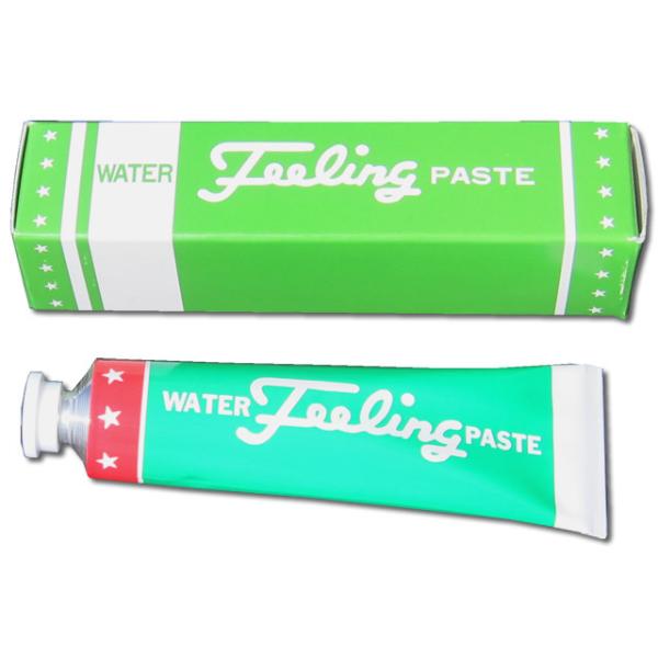 ウォーターフィーリングペースト　80g　タンク内部の水分検知に！ 水量計測剤