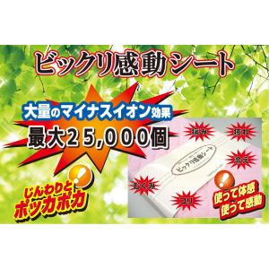 ビックリ感動シート 寝具用シート 約95×16...の詳細画像1