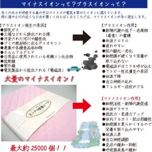 ビックリ感動シート 寝具用シート 約95×16...の詳細画像3