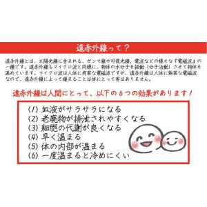 ビックリ感動シート 寝具用シート 約95×16...の詳細画像4