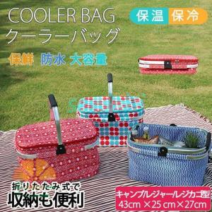 ピクニックカゴ クーラーバスケット ダブルジッパ...の商品画像