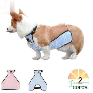 猫オムツの商品一覧 通販 Yahoo ショッピング