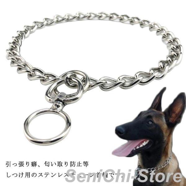 犬 首輪 ステンレス チェーン 引っ張り しつけ用 歩行訓練 トレーニング 簡単装着 中型犬 小型犬...