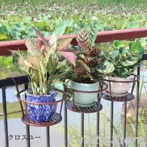 フラワースタンド プラントホルダー 3個セット...の詳細画像3