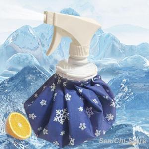 氷のう 氷嚢 スプレー 手首 アイスバック ス...の詳細画像1