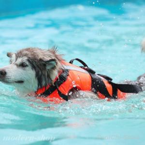 犬用ライフジャケット冷却ベスト冷感ベストペット...の詳細画像2