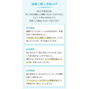 【9箱】 仙樹堂アントロキノノール(森耀(しん...の詳細画像2