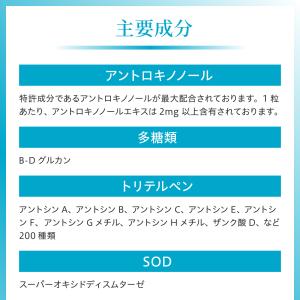 【9箱】 仙樹堂アントロキノノール(森耀(しん...の詳細画像4