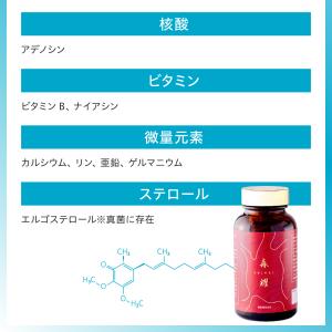 【9箱】 仙樹堂アントロキノノール(森耀(しん...の詳細画像5