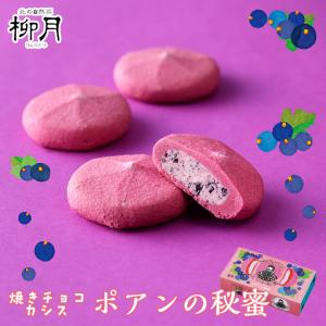 柳月 北海カリべぇ 8袋入 送料無料 北海道限定 海鮮スープカレー煎餅