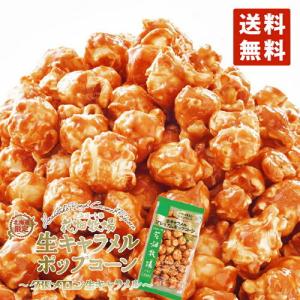 花畑牧場 生キャラメルプレミアムポップコーン 〜夕張メロン生