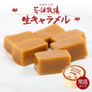 生キャラメル ドライ プレーン 64g 花畑牧場 北海道 お土産 常温保存 バレンタイン