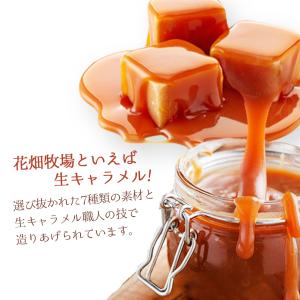 生キャラメル ドライ プレーン 64g 花畑牧...の詳細画像1