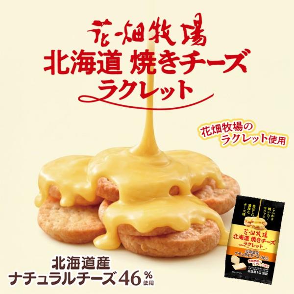 花畑牧場 焼きチーズ ラクレット 50g 送料無料 北海道 ナチュラルチーズ46％ 花畑 スナック菓...