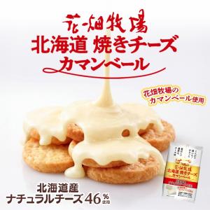 北海道限定‼️花畑牧場新発売‼️ラクレット カマンベール 焼きチーズ菓子 花畑牧場 焼きチーズ ラクレット 50g 5個セット 送料無料 北海道
