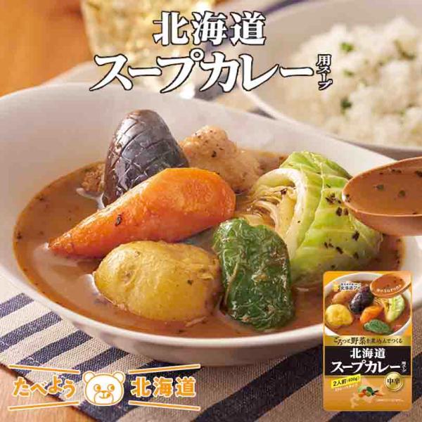 北海道アイ 北海道スープカレー用スープ スパイス カレー 野菜 中辛 贈り物 プレゼント 人気 ご家...