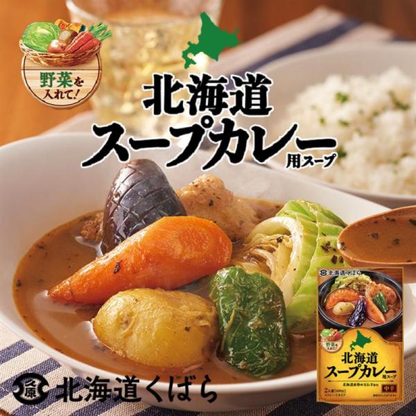 北海道くばら 北海道スープカレー用スープ 2個セット 送料無料 スパイス カレー 野菜 中辛 贈り物...