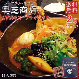 奥芝商店 スープカレー えびスープチキンカリー 2個セット 送料無料 送料込 北海道 お土産 お手軽 えび
