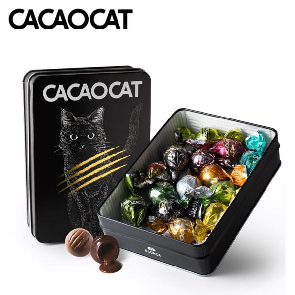 CACAOCAT 缶 14個入 BLACK 5個セット 送料無料 北海道 お土産 ギフト 人気 DA...