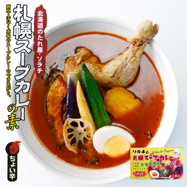 ソラチ 北海道のたれ屋 札幌スープカレーの素（箱入４食）2個セット 北海道 札幌 スパイス 本場 お...