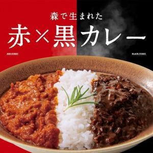 森で生まれた赤×黒カレー 1人前200g×2個セット お土産 プレゼント ギフト 2色カレー プロデュース