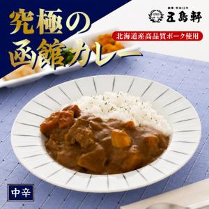 びらとり和牛カレー 辛口 2個セット 送料無料 黒毛和牛 北海道 平取