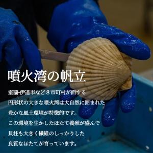 即席ほたて味噌汁 8食入り 北海道 噴火湾産 ...の詳細画像3