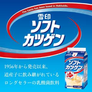 雪印 ソフトカツゲン 300ml 北海道 限定...の詳細画像1