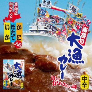 大漁カレー200g  2個セット 中辛 送料無料 メール便 北海道 海祭り カレー いか ほたて か...