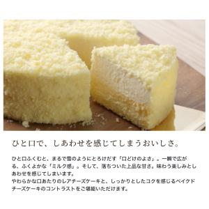 ルタオ LeTAO ドゥーブルフロマージュ ド...の詳細画像3