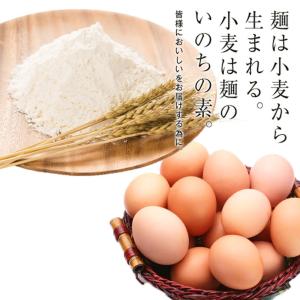 ラーメン 取り寄せ 藤原製麺 北海道二夜干しラ...の詳細画像4