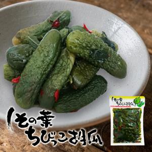 漬物 ちょい辛チビきゅうり 100g×5袋 お漬物 お漬け物 漬け物 少量