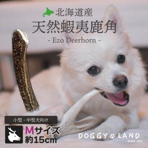 Deerhorn【Sサイズ】 北海道産 鹿角 ペット 犬 おもちゃ 小型犬