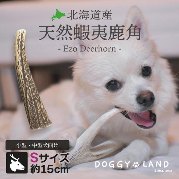 Deerhorn【Sサイズ】 北海道産 鹿角 ペット 犬 おもちゃ 小型犬 プレゼント いたずら防止...