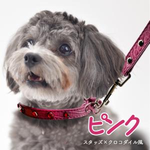 1000円ポッキリ 送料無料 【首輪 リード ...の詳細画像2