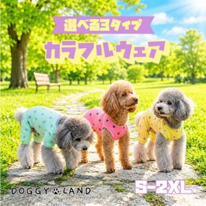 AS KNOW AS（アズノゥアズ） as know as de wan アズノゥアズデワン