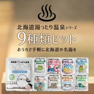 登別湯の華本舗 登別温泉 湯の華 24袋入 [ 北海道登別温泉 温泉の素