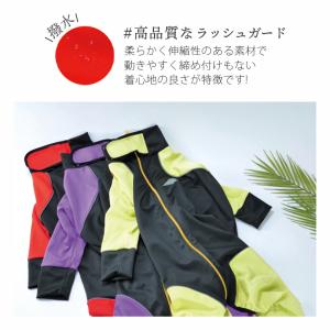 犬服 ドッグウェア ラッシュガード 【名入れ可...の詳細画像5