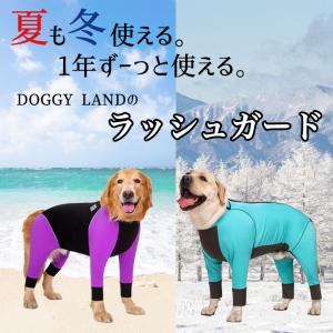 犬服 ドッグウェア ラッシュガード 【名入れ可...の詳細画像1