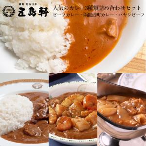 五島軒 3種類から選べる2つ(ビーフカレー・函館港町カレー・ハヤシ